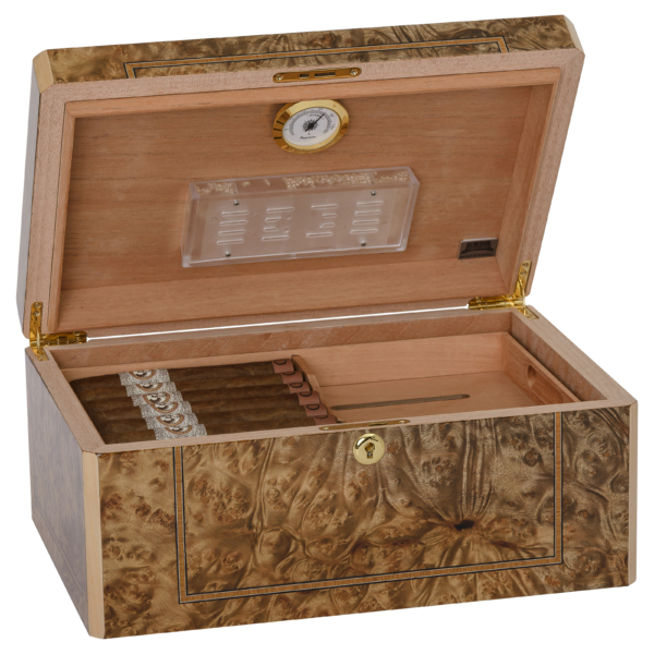 Solerno Rustic Burl & Maple Veneer