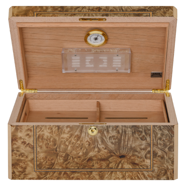 Solerno Rustic Burl & Maple Veneer