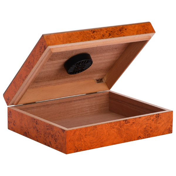 Traveller 20 Burl